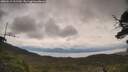 ./images/calvert/fitz-hugh-hecate/20250619/fitz-hugh-hecate20250619_121510M.jpg