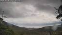 ./images/calvert/fitz-hugh-hecate/20250619/fitz-hugh-hecate20250619_122009M.jpg