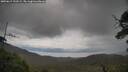 ./images/calvert/fitz-hugh-hecate/20250619/fitz-hugh-hecate20250619_123509M.jpg
