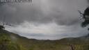 ./images/calvert/fitz-hugh-hecate/20250619/fitz-hugh-hecate20250619_124009M.jpg