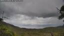 ./images/calvert/fitz-hugh-hecate/20250619/fitz-hugh-hecate20250619_124510M.jpg