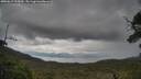 ./images/calvert/fitz-hugh-hecate/20250619/fitz-hugh-hecate20250619_125010M.jpg