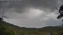 ./images/calvert/fitz-hugh-hecate/20250619/fitz-hugh-hecate20250619_130506M.jpg