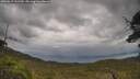 ./images/calvert/fitz-hugh-hecate/20250619/fitz-hugh-hecate20250619_131510M.jpg