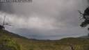 ./images/calvert/fitz-hugh-hecate/20250619/fitz-hugh-hecate20250619_132509M.jpg