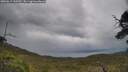 ./images/calvert/fitz-hugh-hecate/20250619/fitz-hugh-hecate20250619_133510M.jpg