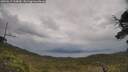 ./images/calvert/fitz-hugh-hecate/20250619/fitz-hugh-hecate20250619_134010M.jpg