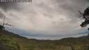 ./images/calvert/fitz-hugh-hecate/20250619/fitz-hugh-hecate20250619_135009M.jpg