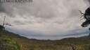 ./images/calvert/fitz-hugh-hecate/20250619/fitz-hugh-hecate20250619_135509M.jpg