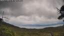 ./images/calvert/fitz-hugh-hecate/20250619/fitz-hugh-hecate20250619_140508M.jpg