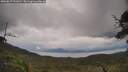 ./images/calvert/fitz-hugh-hecate/20250619/fitz-hugh-hecate20250619_141010M.jpg