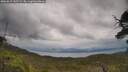 ./images/calvert/fitz-hugh-hecate/20250619/fitz-hugh-hecate20250619_142509M.jpg
