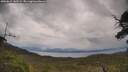 ./images/calvert/fitz-hugh-hecate/20250619/fitz-hugh-hecate20250619_143509M.jpg