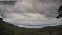 ./images/calvert/fitz-hugh-hecate/20250619/fitz-hugh-hecate20250619_145010M.jpg
