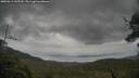 ./images/calvert/fitz-hugh-hecate/20250619/fitz-hugh-hecate20250619_145510M.jpg