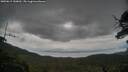 ./images/calvert/fitz-hugh-hecate/20250619/fitz-hugh-hecate20250619_150012M.jpg