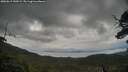 ./images/calvert/fitz-hugh-hecate/20250619/fitz-hugh-hecate20250619_150509M.jpg