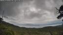 ./images/calvert/fitz-hugh-hecate/20250619/fitz-hugh-hecate20250619_151009M.jpg
