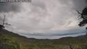 ./images/calvert/fitz-hugh-hecate/20250619/fitz-hugh-hecate20250619_151510M.jpg