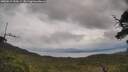 ./images/calvert/fitz-hugh-hecate/20250619/fitz-hugh-hecate20250619_152009M.jpg