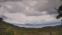 ./images/calvert/fitz-hugh-hecate/20250619/fitz-hugh-hecate20250619_153511M.jpg