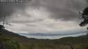 ./images/calvert/fitz-hugh-hecate/20250619/fitz-hugh-hecate20250619_155009M.jpg