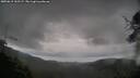 ./images/calvert/fitz-hugh-hecate/20250619/fitz-hugh-hecate20250619_162509M.jpg