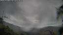 ./images/calvert/fitz-hugh-hecate/20250619/fitz-hugh-hecate20250619_163010M.jpg