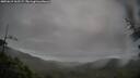 ./images/calvert/fitz-hugh-hecate/20250619/fitz-hugh-hecate20250619_163507M.jpg