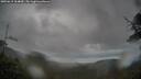 ./images/calvert/fitz-hugh-hecate/20250619/fitz-hugh-hecate20250619_164010M.jpg