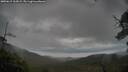 ./images/calvert/fitz-hugh-hecate/20250619/fitz-hugh-hecate20250619_164509M.jpg