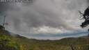 ./images/calvert/fitz-hugh-hecate/20250619/fitz-hugh-hecate20250619_165509M.jpg