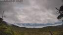 ./images/calvert/fitz-hugh-hecate/20250619/fitz-hugh-hecate20250619_171010M.jpg