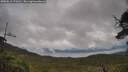 ./images/calvert/fitz-hugh-hecate/20250619/fitz-hugh-hecate20250619_171510M.jpg