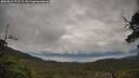 ./images/calvert/fitz-hugh-hecate/20250619/fitz-hugh-hecate20250619_172509M.jpg