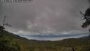 ./images/calvert/fitz-hugh-hecate/20250619/fitz-hugh-hecate20250619_174010M.jpg