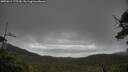 ./images/calvert/fitz-hugh-hecate/20250619/fitz-hugh-hecate20250619_175509M.jpg