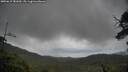 ./images/calvert/fitz-hugh-hecate/20250619/fitz-hugh-hecate20250619_181010M.jpg