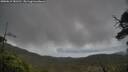./images/calvert/fitz-hugh-hecate/20250619/fitz-hugh-hecate20250619_181510M.jpg