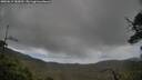 ./images/calvert/fitz-hugh-hecate/20250619/fitz-hugh-hecate20250619_183012M.jpg