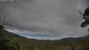 ./images/calvert/fitz-hugh-hecate/20250619/fitz-hugh-hecate20250619_184010M.jpg
