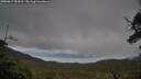 ./images/calvert/fitz-hugh-hecate/20250619/fitz-hugh-hecate20250619_184510M.jpg