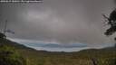 ./images/calvert/fitz-hugh-hecate/20250619/fitz-hugh-hecate20250619_185010M.jpg