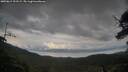 ./images/calvert/fitz-hugh-hecate/20250619/fitz-hugh-hecate20250619_191508M.jpg