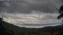 ./images/calvert/fitz-hugh-hecate/20250619/fitz-hugh-hecate20250619_193009M.jpg