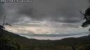 ./images/calvert/fitz-hugh-hecate/20250619/fitz-hugh-hecate20250619_194007M.jpg