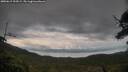 ./images/calvert/fitz-hugh-hecate/20250619/fitz-hugh-hecate20250619_194508M.jpg
