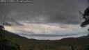 ./images/calvert/fitz-hugh-hecate/20250619/fitz-hugh-hecate20250619_195010M.jpg
