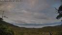 ./images/calvert/fitz-hugh-hecate/20250619/fitz-hugh-hecate20250619_205508M.jpg