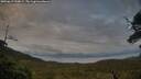 ./images/calvert/fitz-hugh-hecate/20250619/fitz-hugh-hecate20250619_210009M.jpg
